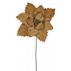 Χριστουγεννιάτικο Λουλούδι Αλεξανδρινό Καραμελέ